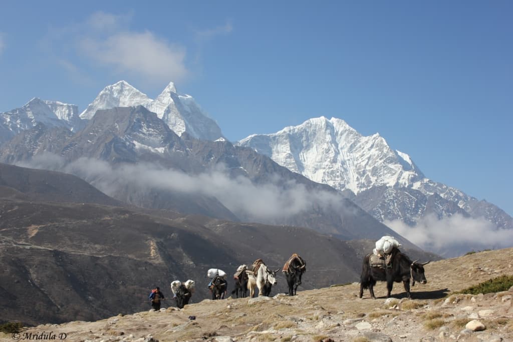 Everest and Nuptse at first light from Kala Patthar