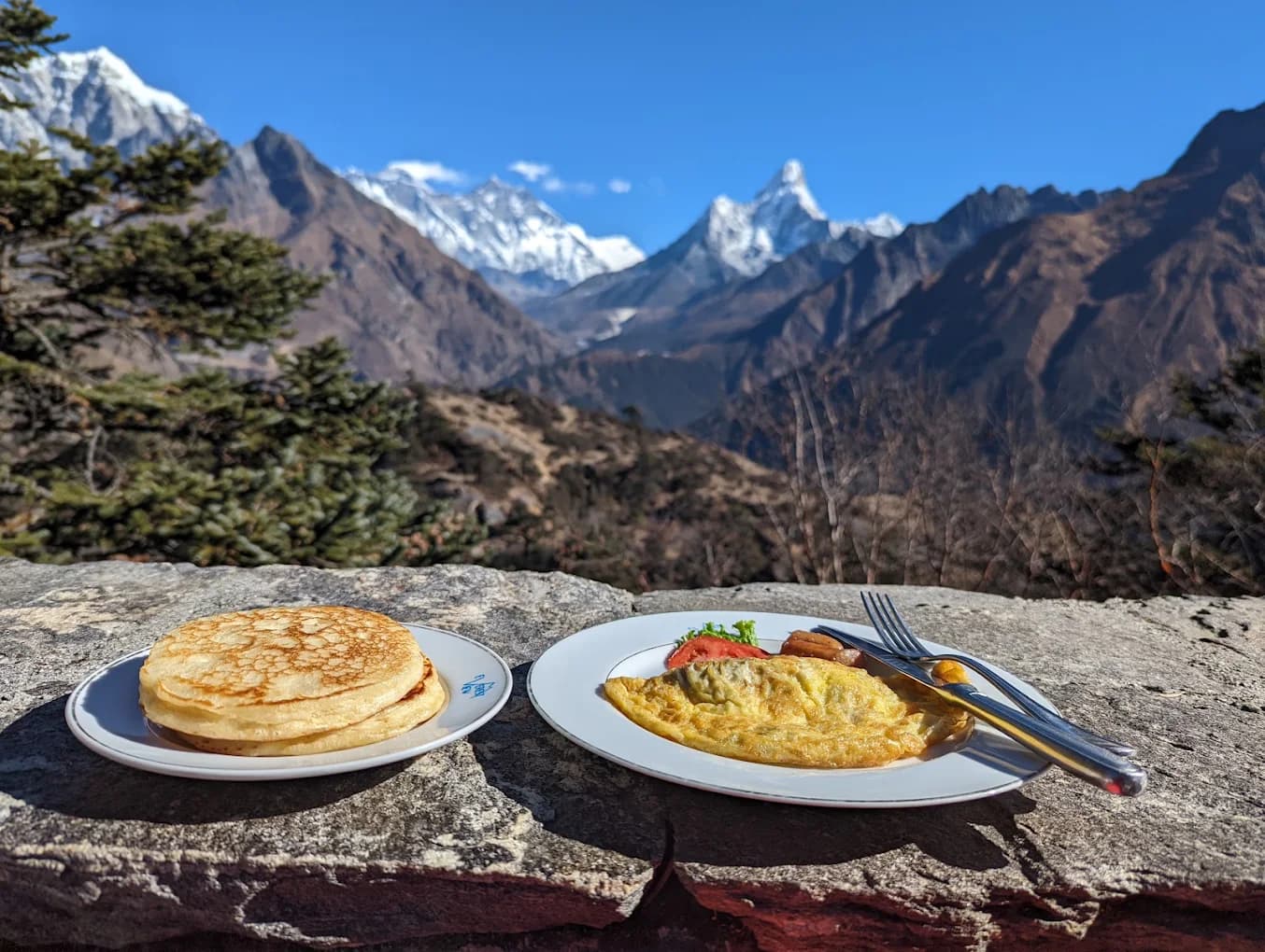 Hotel Everest View